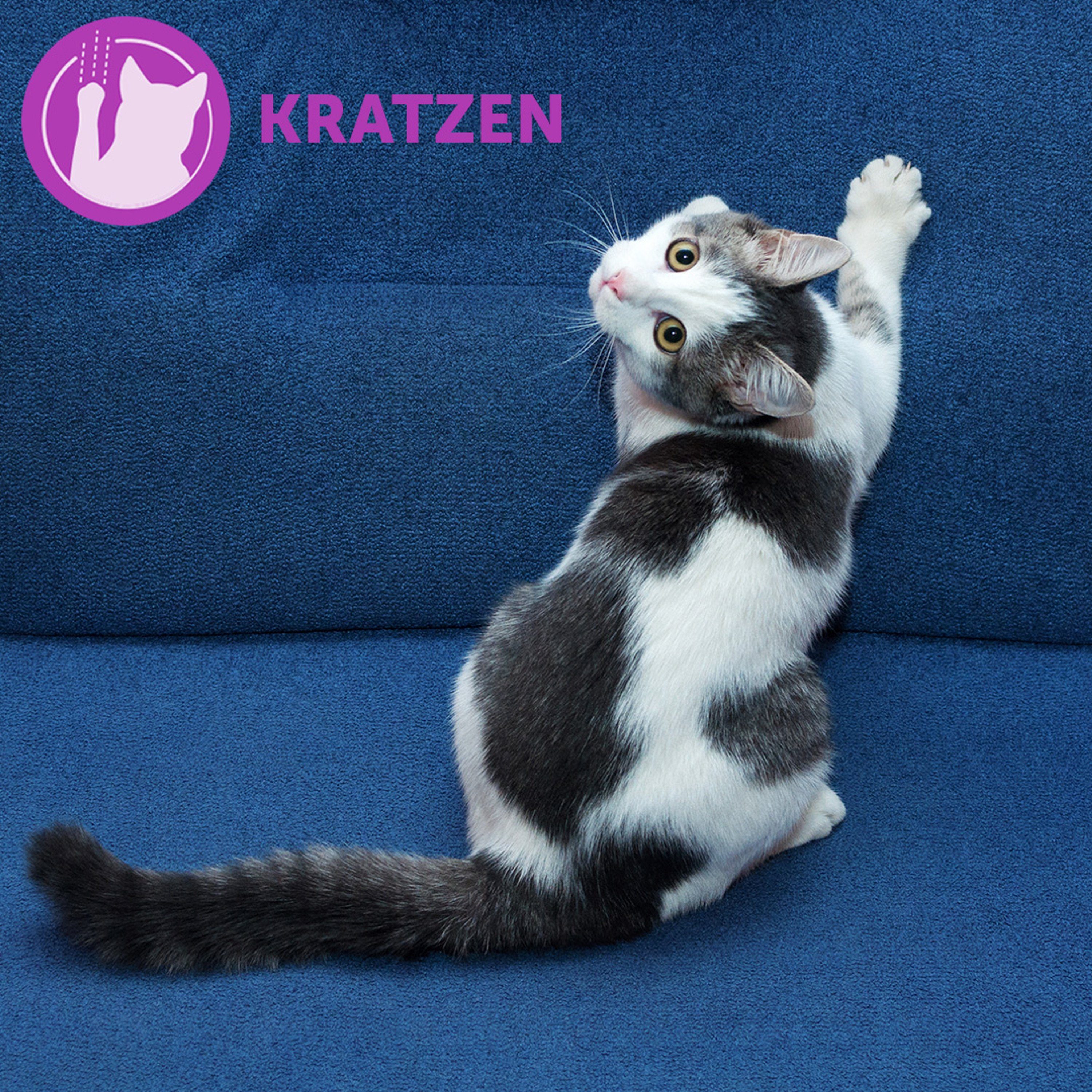 Katzenstreu FELIWAY® Classic Spray 60ml – entspannte Katzen zuhause und unterwegs