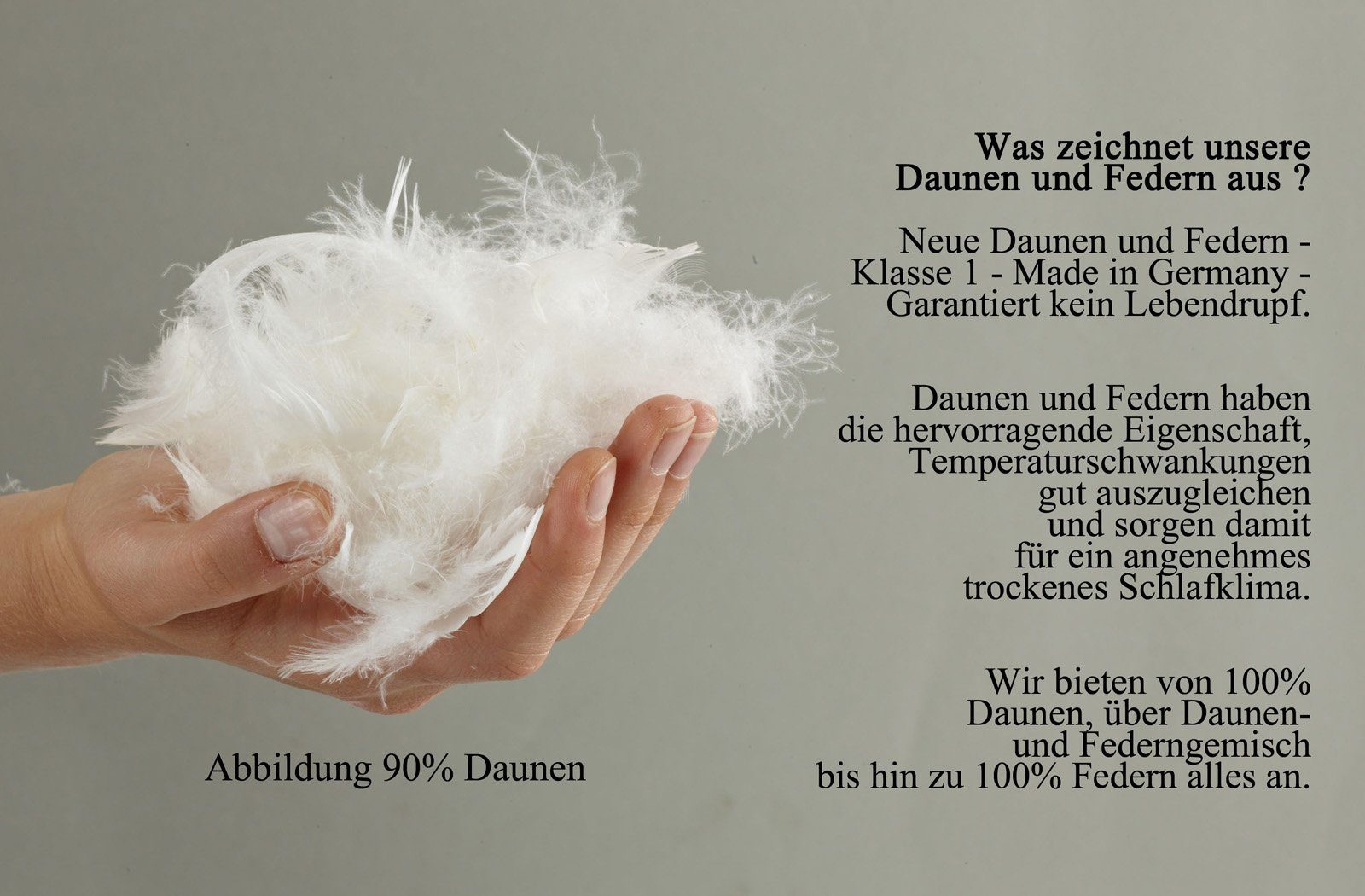 Baumwolle Bezug: Daunendecke franknatur, 100% ganzjährige Nutzung Füllung: leichte Federn, 10% 90% Dauneneinziehdecke Bio Daunenbettdecke, kbA leicht, Daunen, kbA, für die