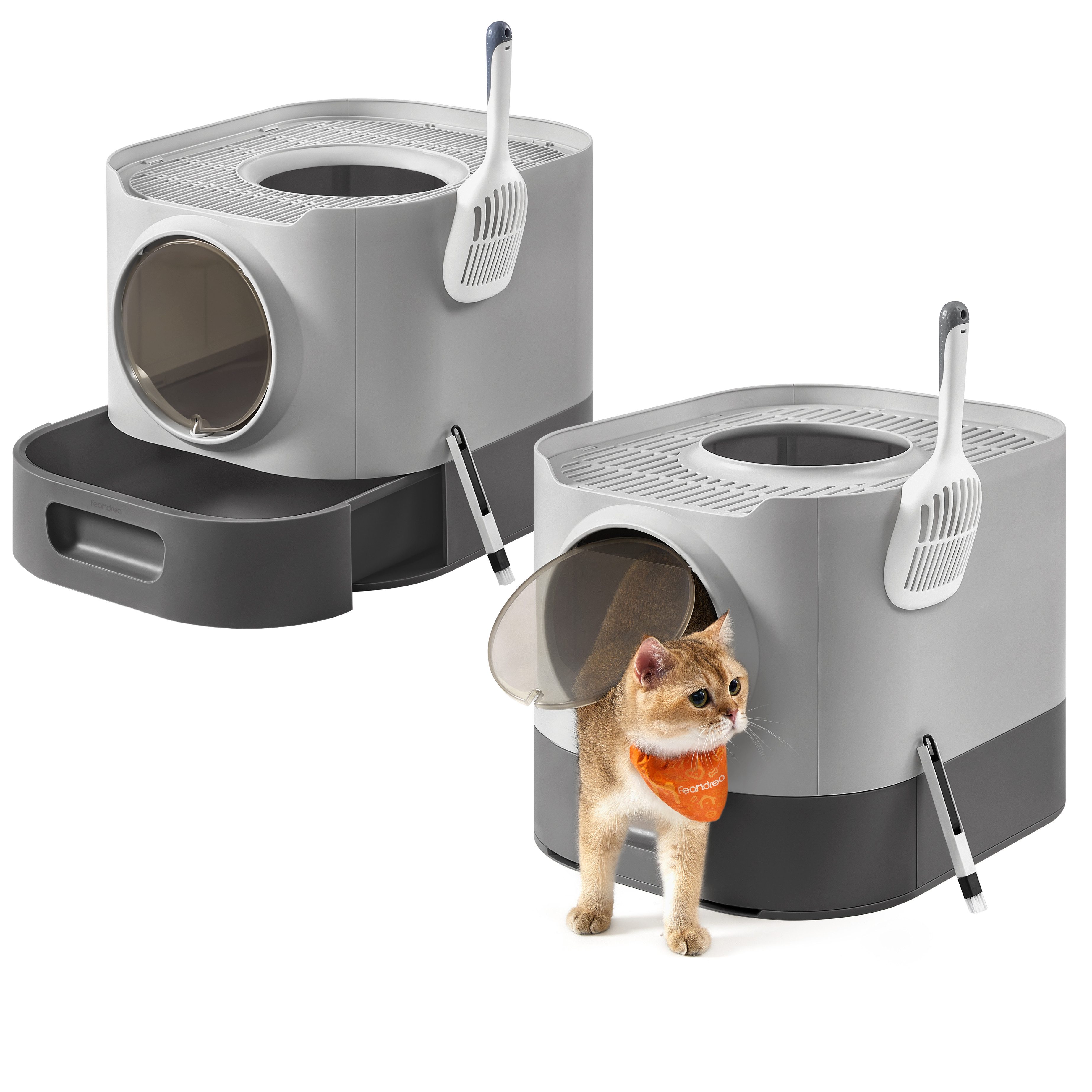 Katzentoilette