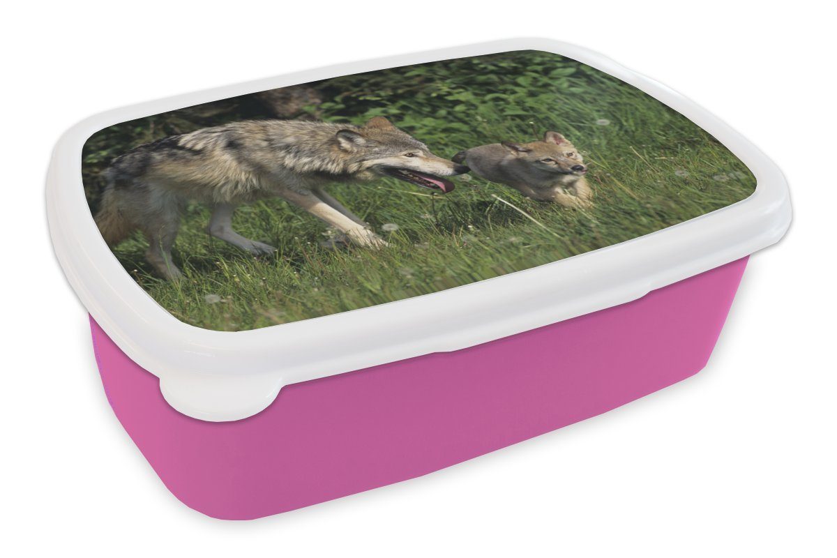 MuchoWow Lunchbox Wolf - Baby - Gras, Kunststoff, (2-tlg), Brotbox für Erwachsene, Brotdose Kinder, Snackbox, Mädchen, Kunststoff rosa
