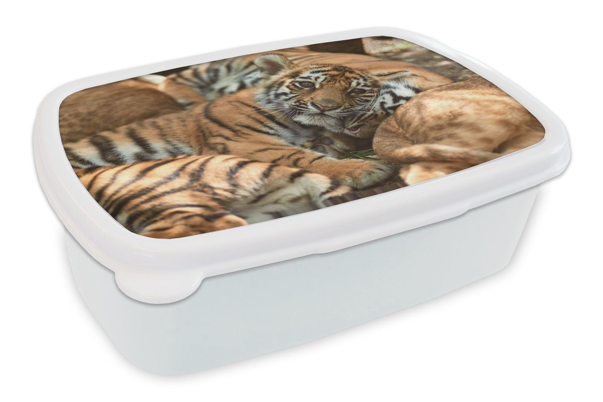 MuchoWow Lunchbox Tiger - Junglöwe - Sonne, Kunststoff, (2-tlg), Brotbox für Kinder und Erwachsene, Brotdose, für Jungs und Mädchen weiß