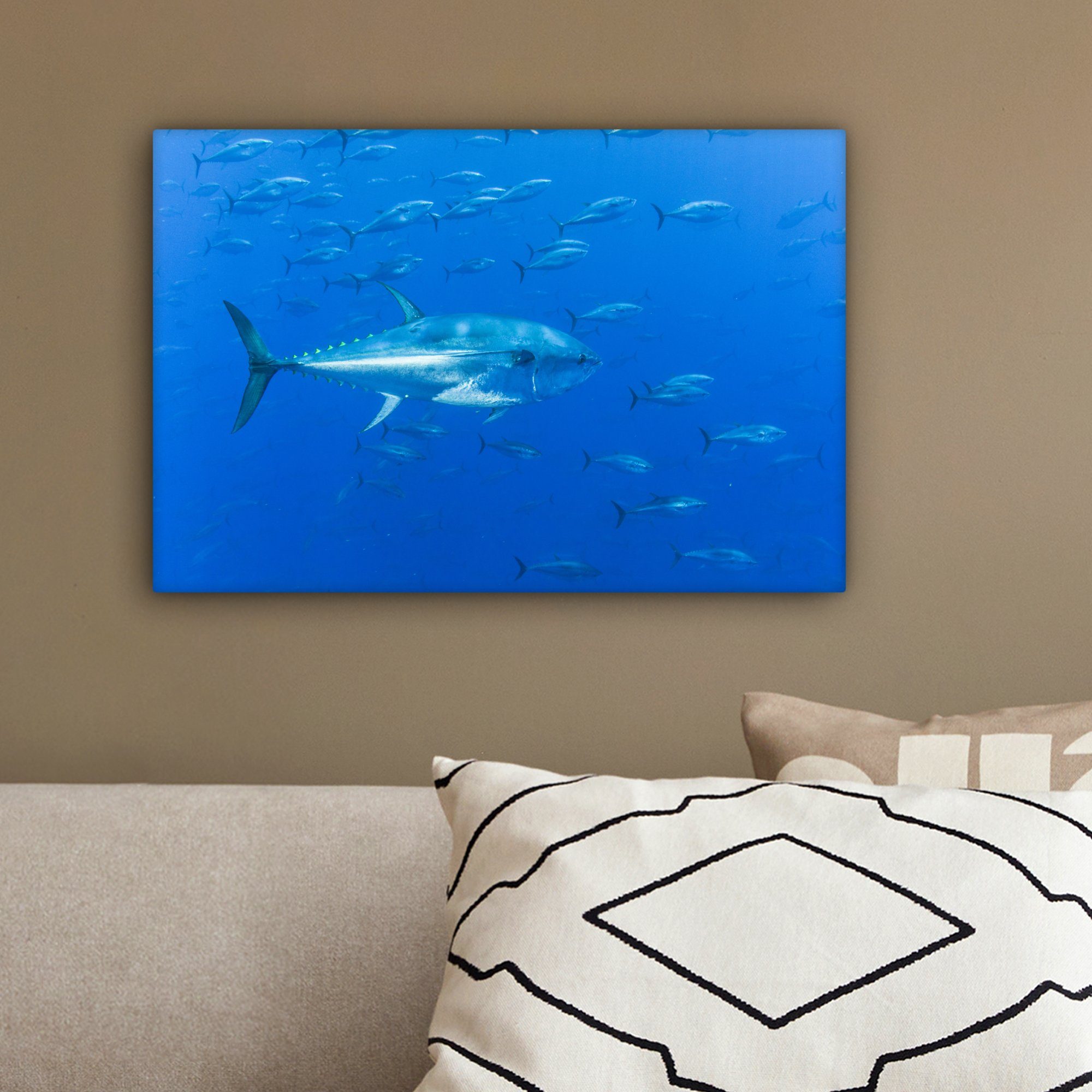 Aufhängefertig, Leinwandbilder, im Wanddeko, (1 30x20 Leinwandbild zueinander St), parallel OneMillionCanvasses® cm Meer, Wandbild Thunfische
