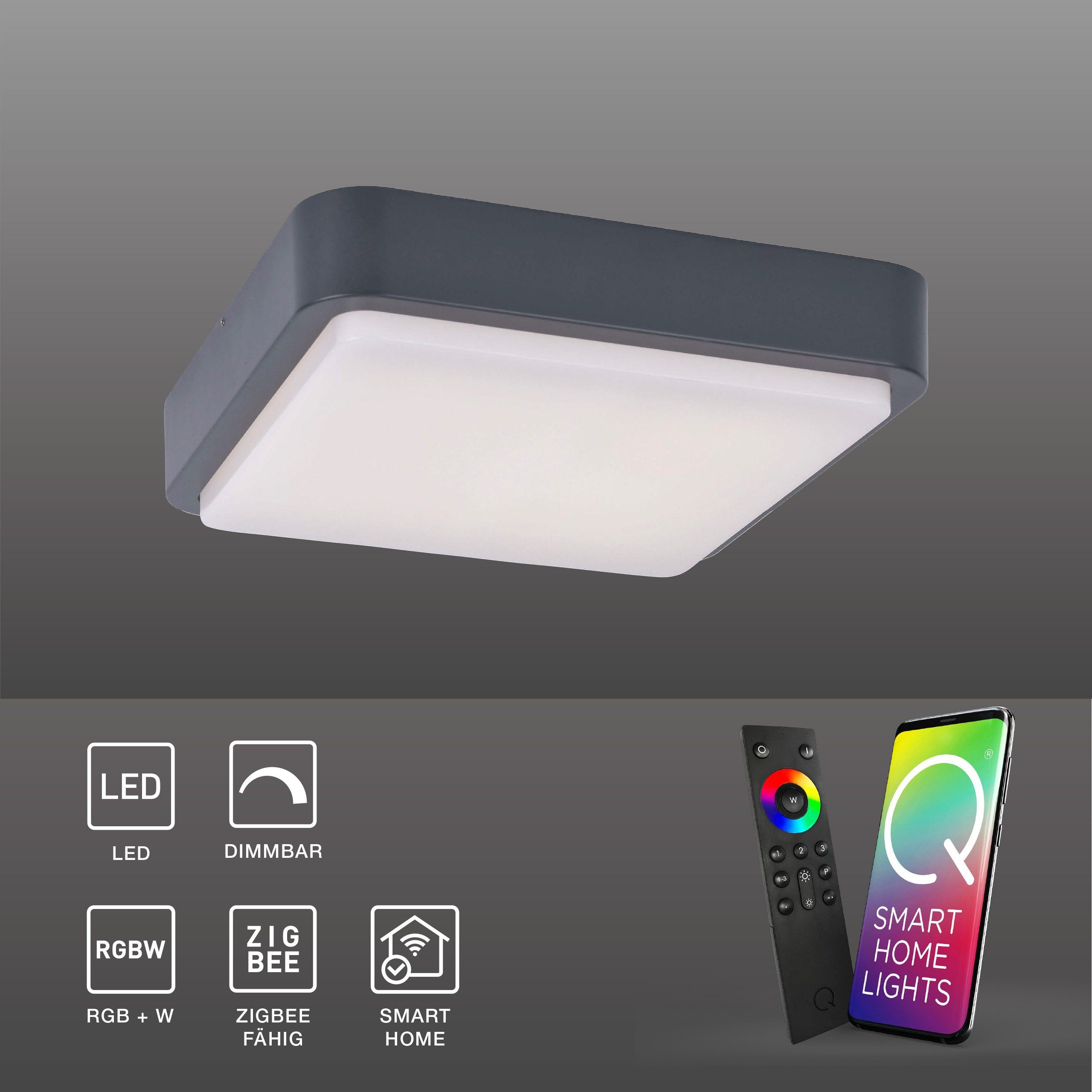 Paul Neuhaus Smarte LED-Leuchte Q - LENNY RGB+W, Smart Home,  RGB-Farbwechsel, Dimmfunktion, Memoryfunktion, 1, Fassaden Wand-  Deckenleuchte, dimmbar Farbwechsel
