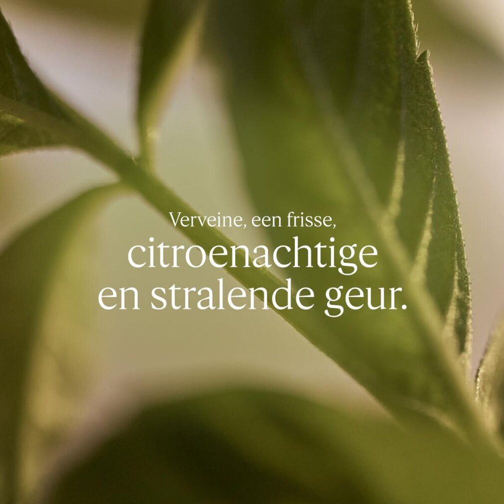 L'OCCITANE Körperpflegemittel KARIT CONFORT Flüssigseife Eisenkraut Nachfüllung 500 ml