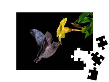 puzzleYOU Puzzle Pallas-Langschwanzfledermaus im Flug, 48 Puzzleteile, puzzleYOU-Kollektionen Fledermäuse