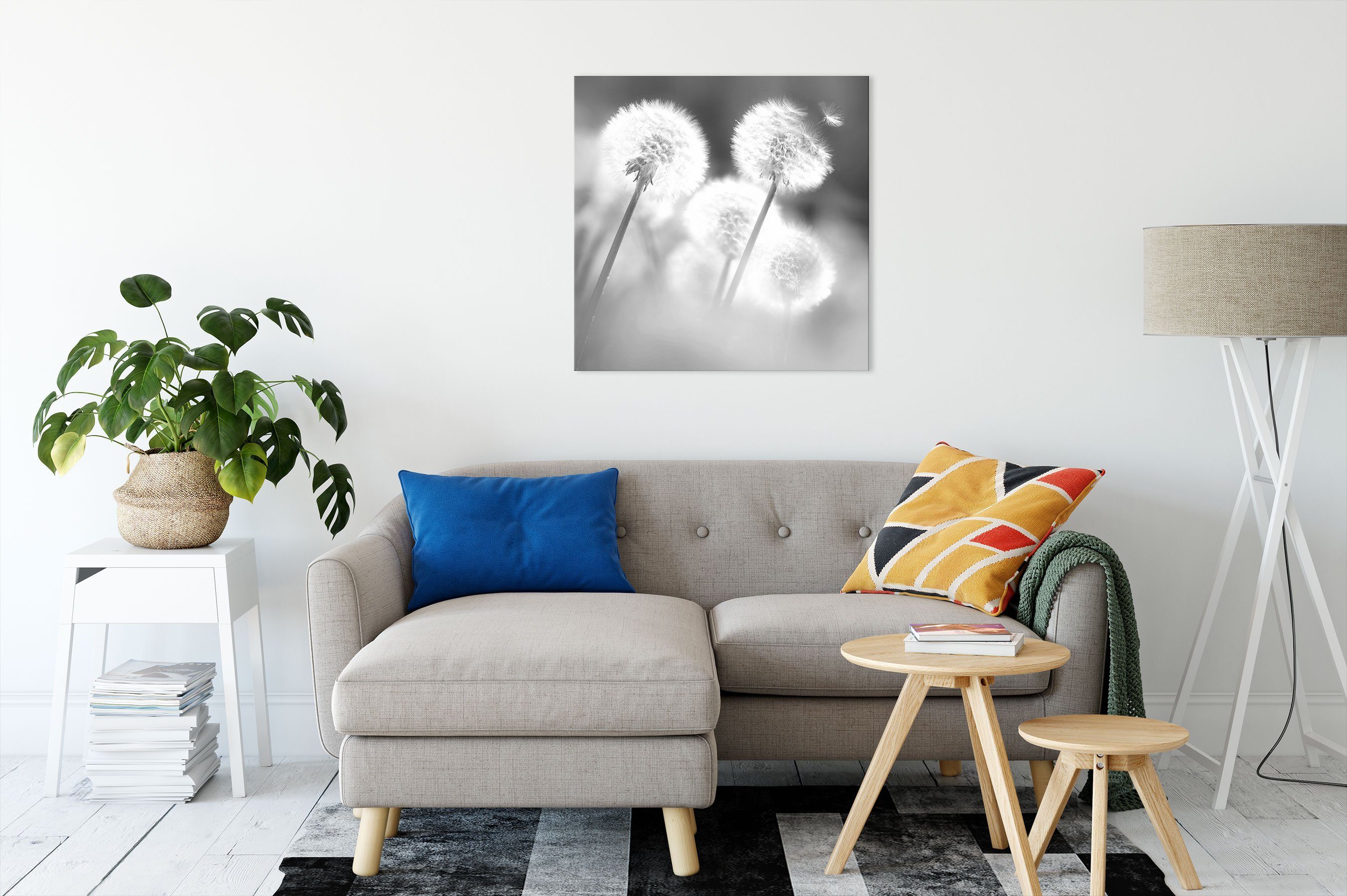 Pusteblumen bespannt, inkl. Leinwandbild Zackenaufhänger Leinwandbild (1 Pusteblumen Wind, fertig im im Wind St), Pixxprint