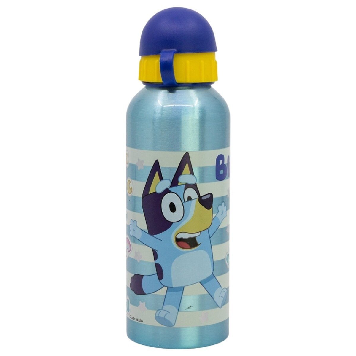 Bluey Trinkflasche Bluey Aluminium Trinkflasche 530ml Kinderflasche für Schule & Freizeit