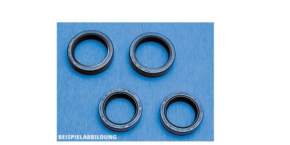 Paaschburg & Wunderlich GmbH Auspuff-Flexrohr Gabelsimmerring-Satz A 067