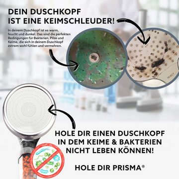 Handbrause Prisma Premium Duschkopf