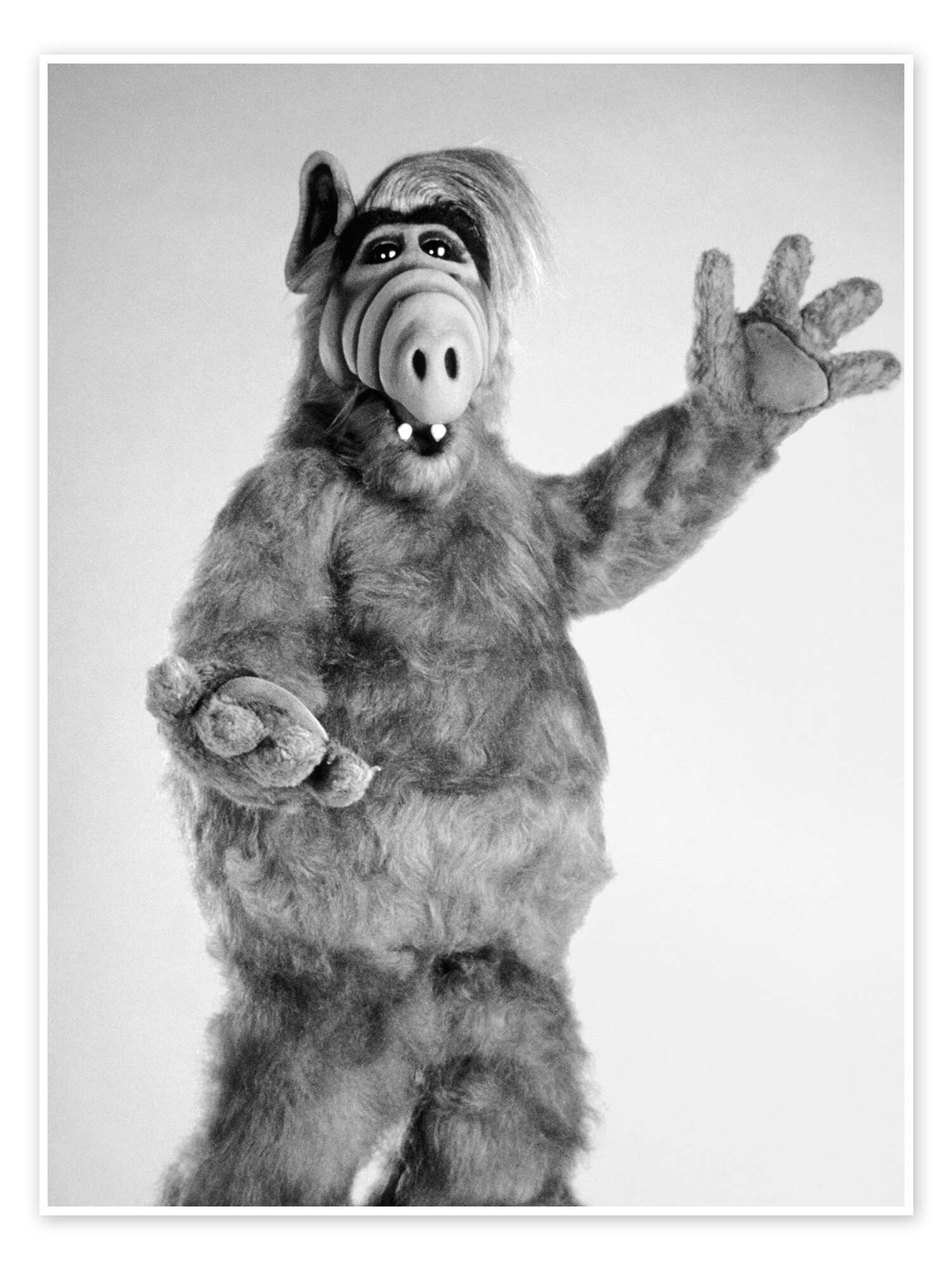 Posterlounge Poster Everett Collection, Alf, Wohnzimmer günstig online kaufen