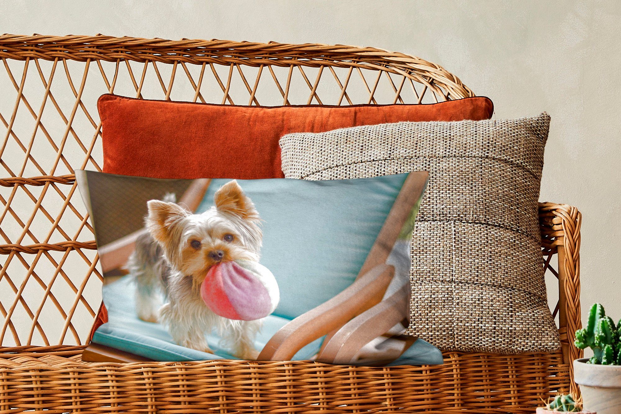 MuchoWow Dekokissen Yorkshire Terrier spielt Dekokissen mit Wohzimmer bunten Ball, Füllung, mit einem Schlafzimmer Dekoration, Zierkissen
