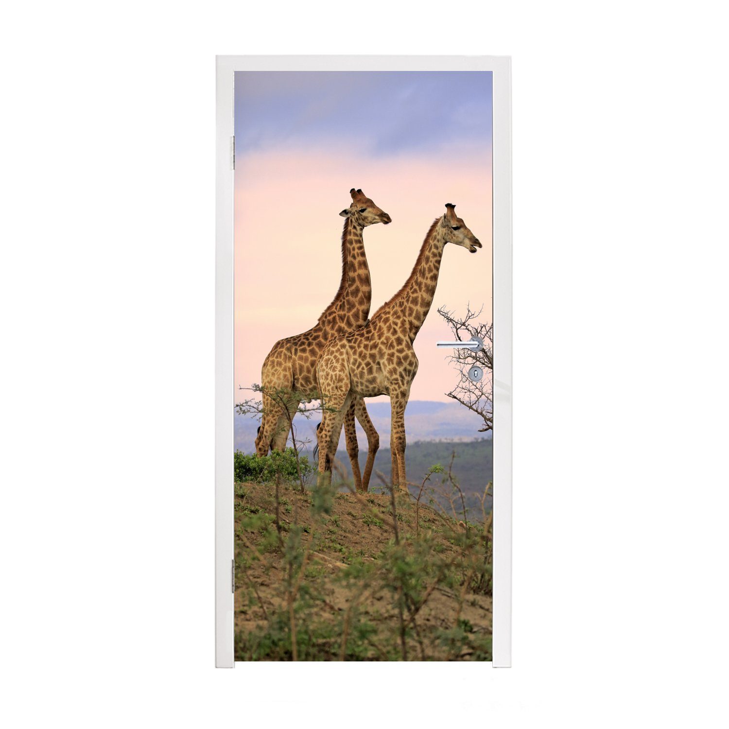 MuchoWow Türtapete Giraffen - Himmel - Landschaft, Matt, bedruckt, (1 St), Fototapete für Tür, Türaufkleber, 75x205 cm