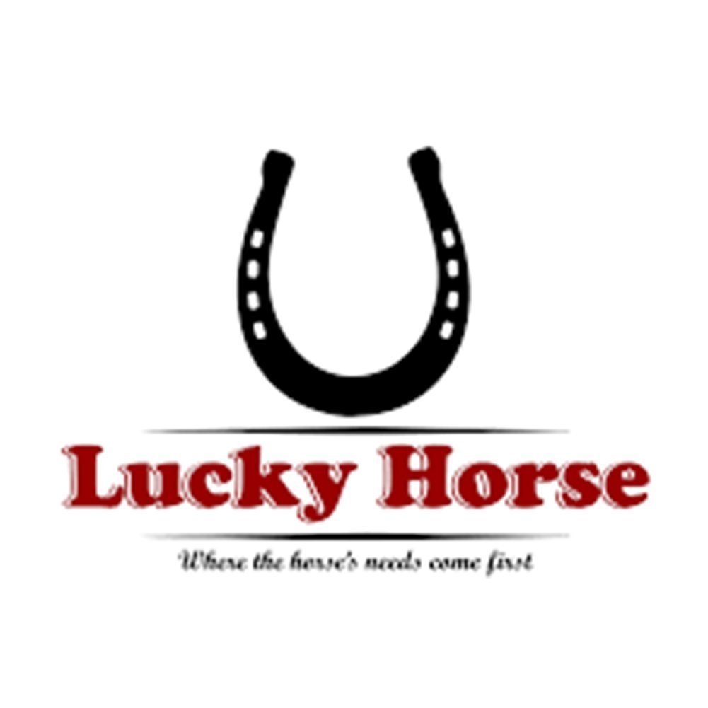 Lucky Horse