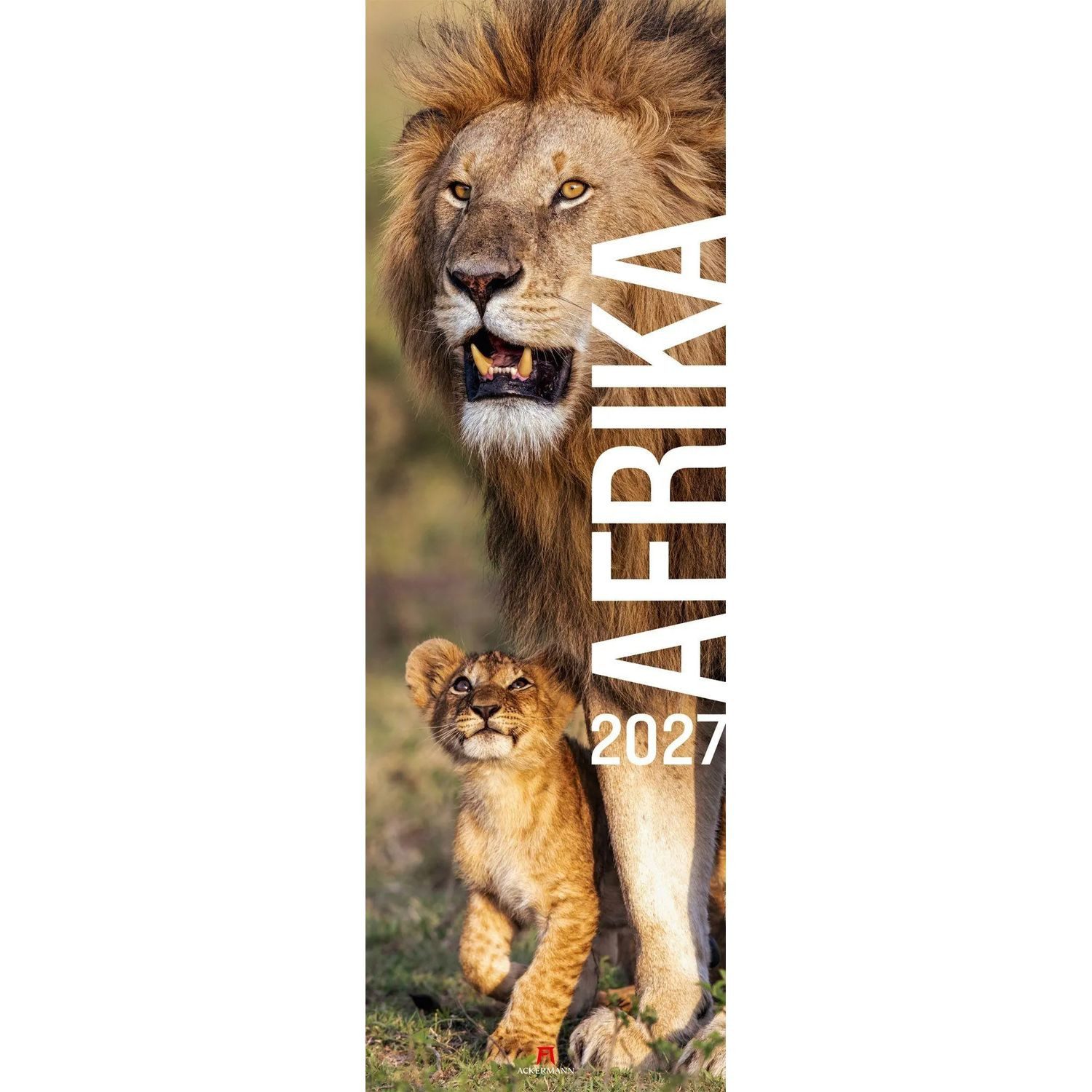 Ackermann Wandkalender Afrika Vertikal Kalender 2027