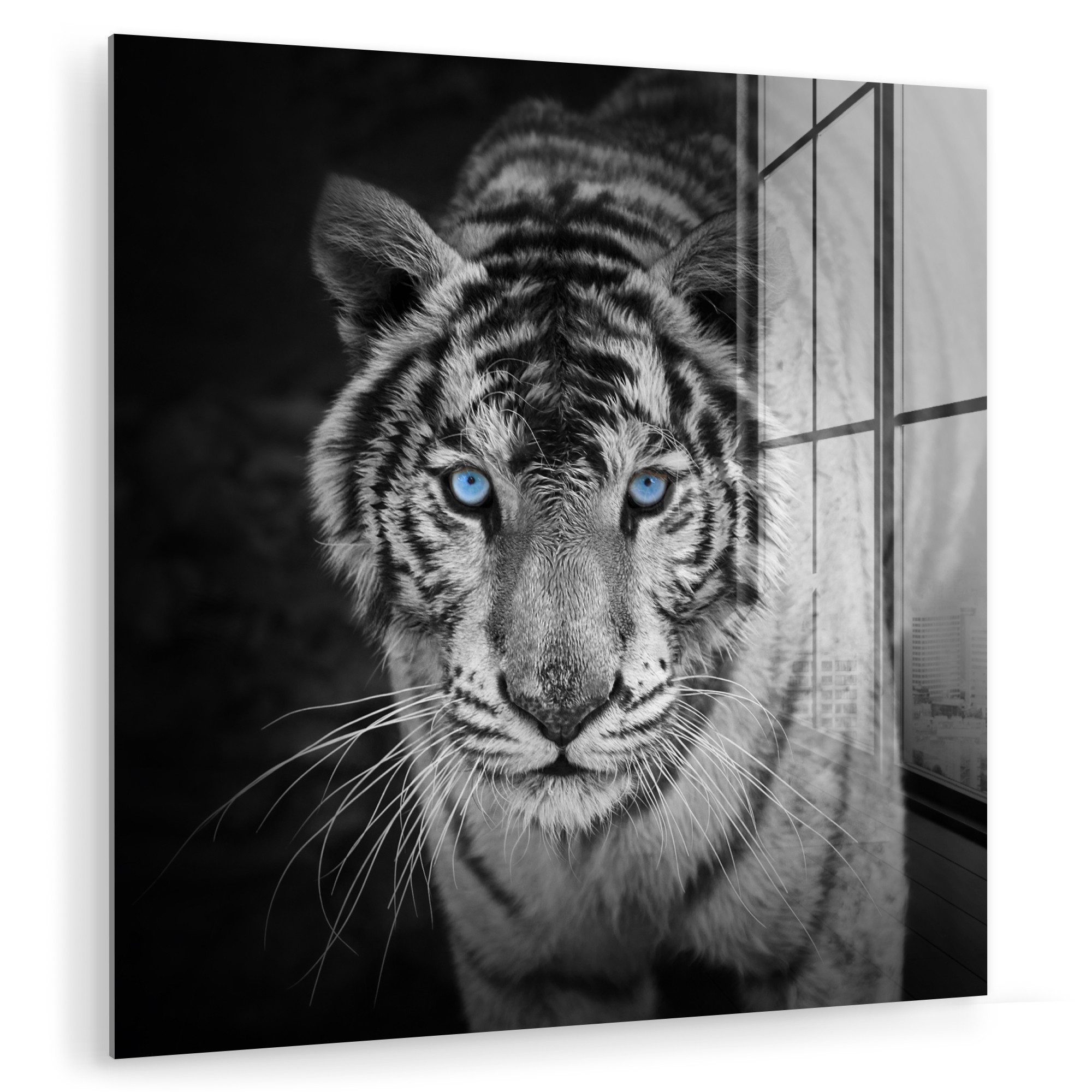 MuchoWow Acrylglasbild Tiere - Tiger - günstig online kaufen
