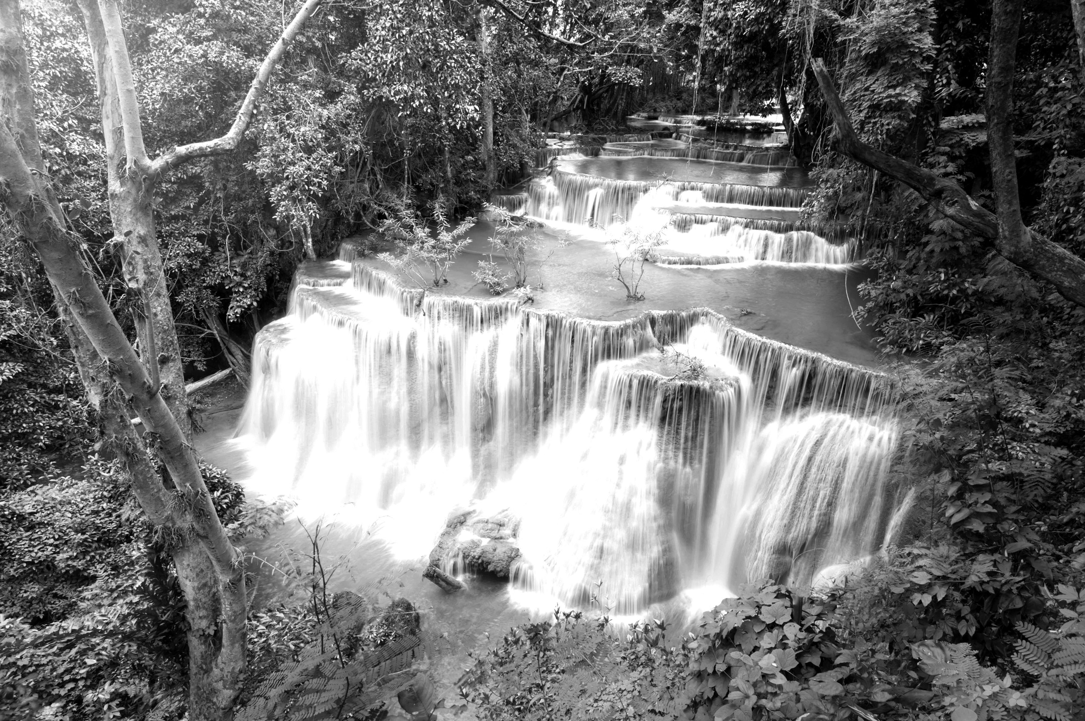 Fototapete Wasserfall im Wald Schwarz & Weiß