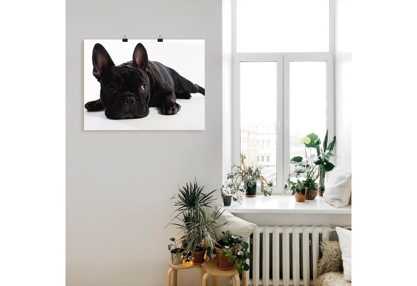 Artland Wandbild »Bulldogge«, Haustiere (1 Stück), in vielen Größen & Produktarten - Alubild / Outdoorbild für den Außenbereich, Leinwandbild, Poster, Wandaufkleber / Wandtattoo auch für Badezimmer geeignet-kaufen