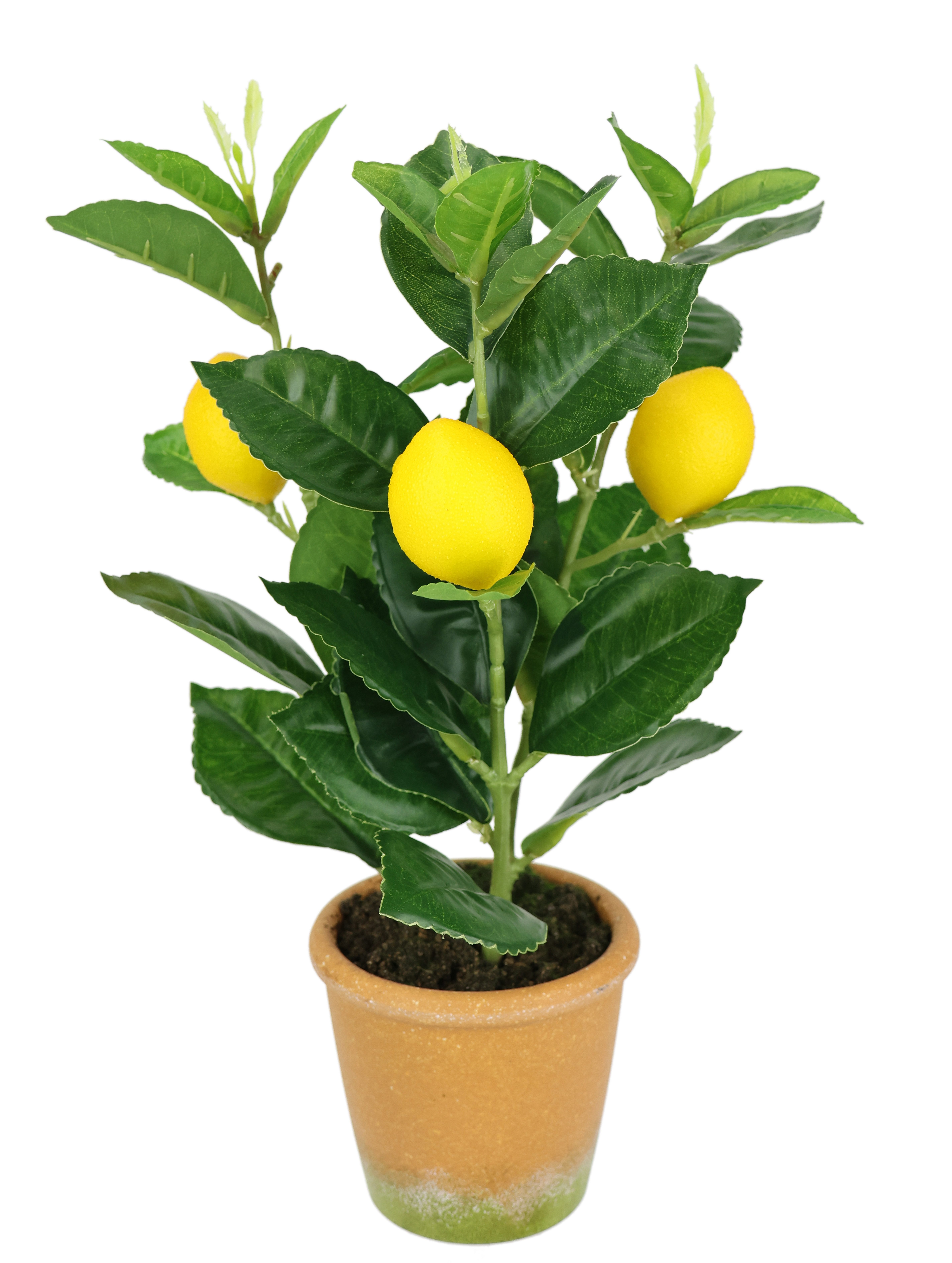 Kunstpflanze Künstlicher Mini-Zitronenbaum, I.GE.A., Höhe 31 cm, Lebensecht günstig online kaufen