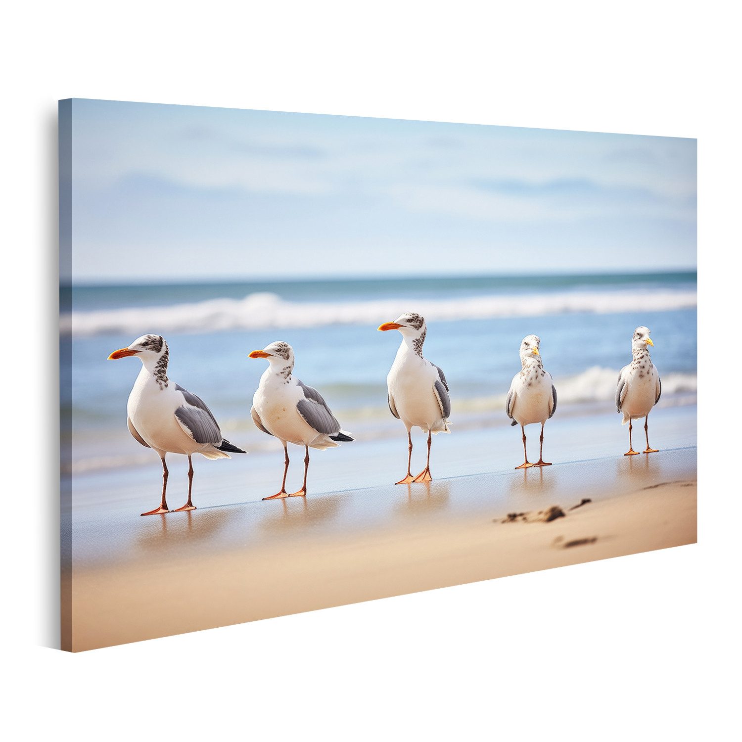 islandburner Leinwandbild Reihe Stehender Möwen Mit Blick Auf Den Ozean Bri günstig online kaufen