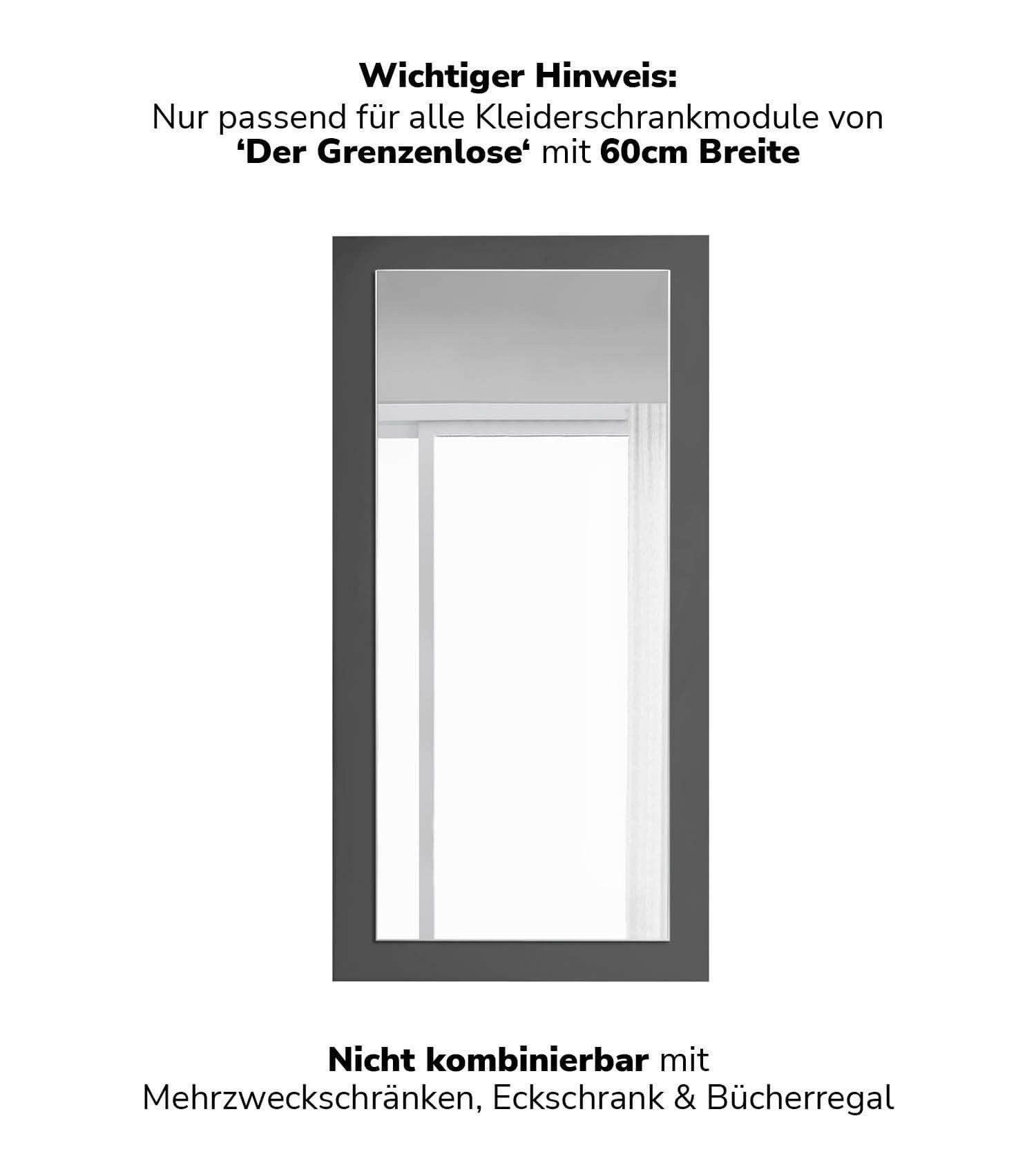 mokebo Schranktür Die Verspiegelte (Einzeln), Spiegeltür für Kleiderschrank bzw. Schrank 'Der Grenzenlose'