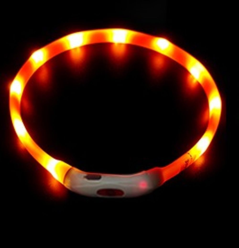 Illes-Laedchen Hunde-Halsband Hunde-Halsband LED Leuchtring Leuchthalsband große Farbauswahl, wiederaufladbar mit mitgeliefertem Kabel Typ C