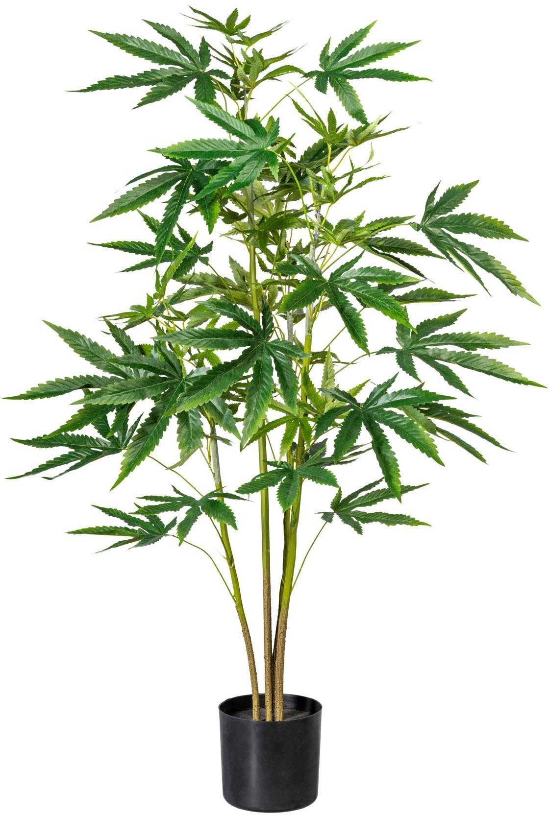Künstliche Zimmerpflanze green, Creativ Zierhanf, cm Zierhanfpflanze 90 Höhe