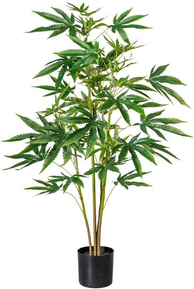 Künstliche Zimmerpflanze Zierhanfpflanze Zierhanf, Creativ green, Höhe 90 cm