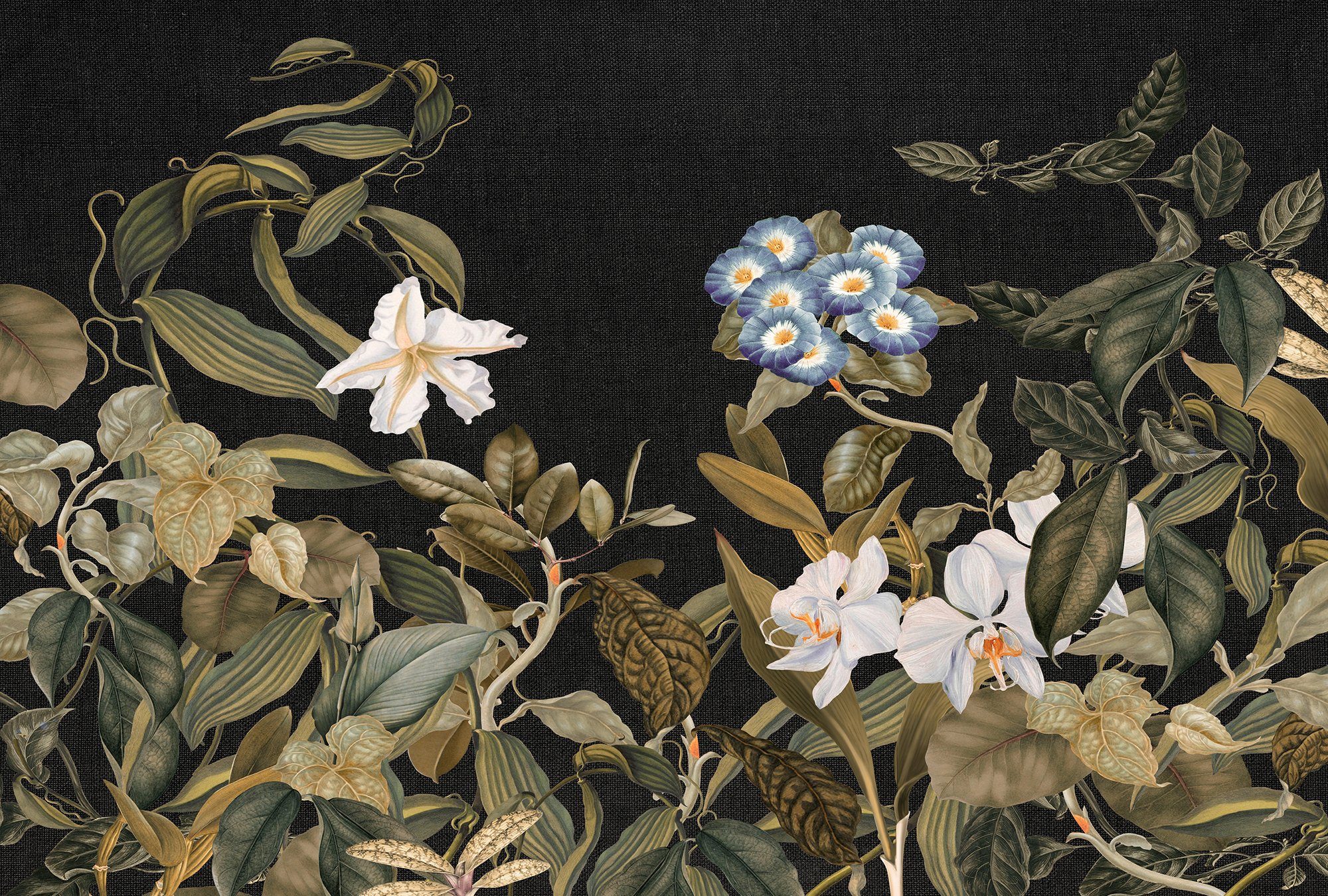 Architects Paper Fototapete Atelier 47 Botanic Sketch 1, glatt, floral, (4 St), Vlies, Wand, Schräge, Decke