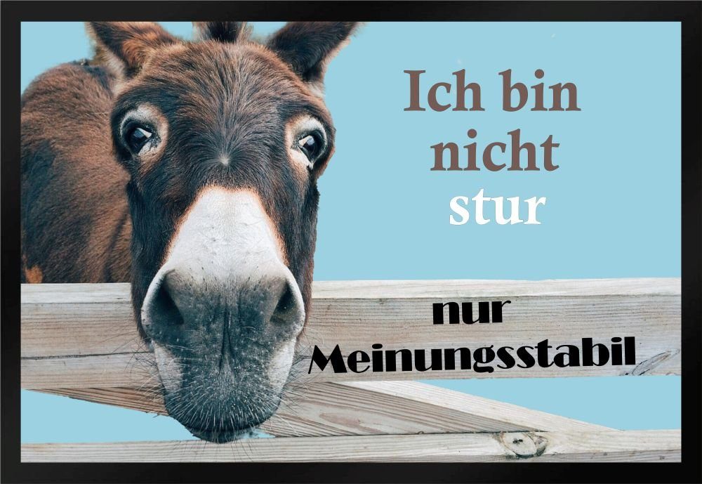 Fußmatte Schmutzfangmatte Ich bin nicht stur nur meinungsstabil F595