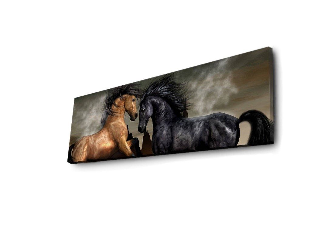 Leinwandbild 100% SUEDE CANVAS, 30 x 90 cm N3219