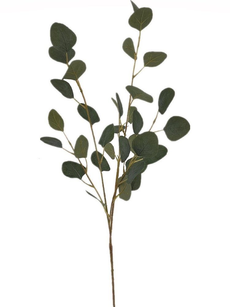 Kunstblume Eukalyptuszweig Eukalypten (Eucalyptus), 2474U, Höhe 98 cm, Zweig