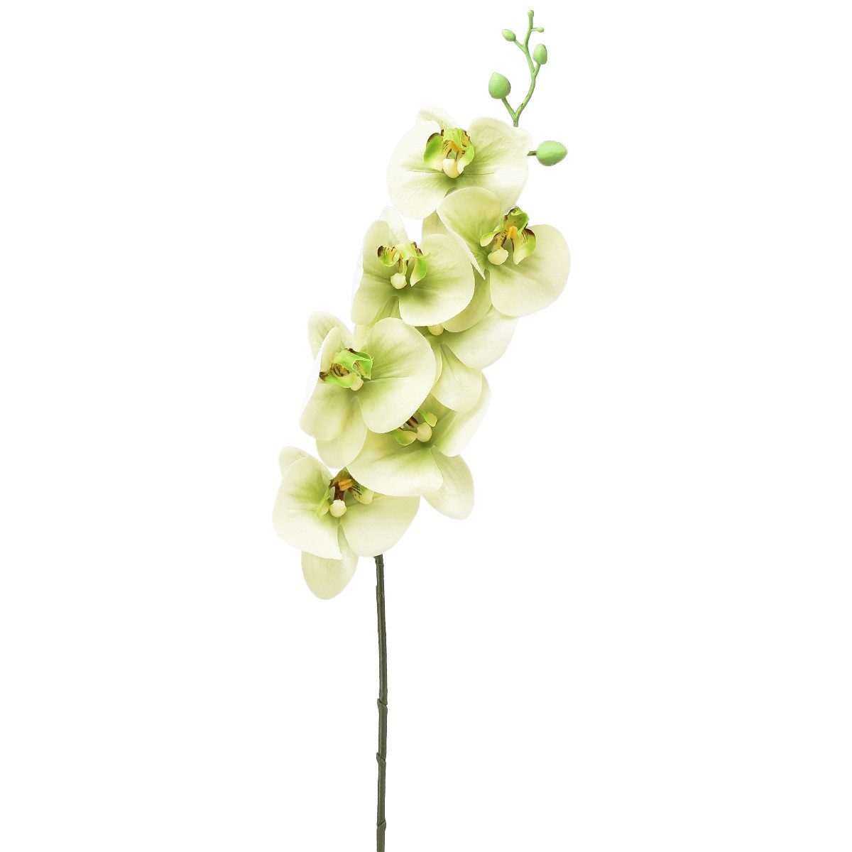 Kunstorchidee Orchidee Kunstblume Gelb Grün 83cm günstig online kaufen