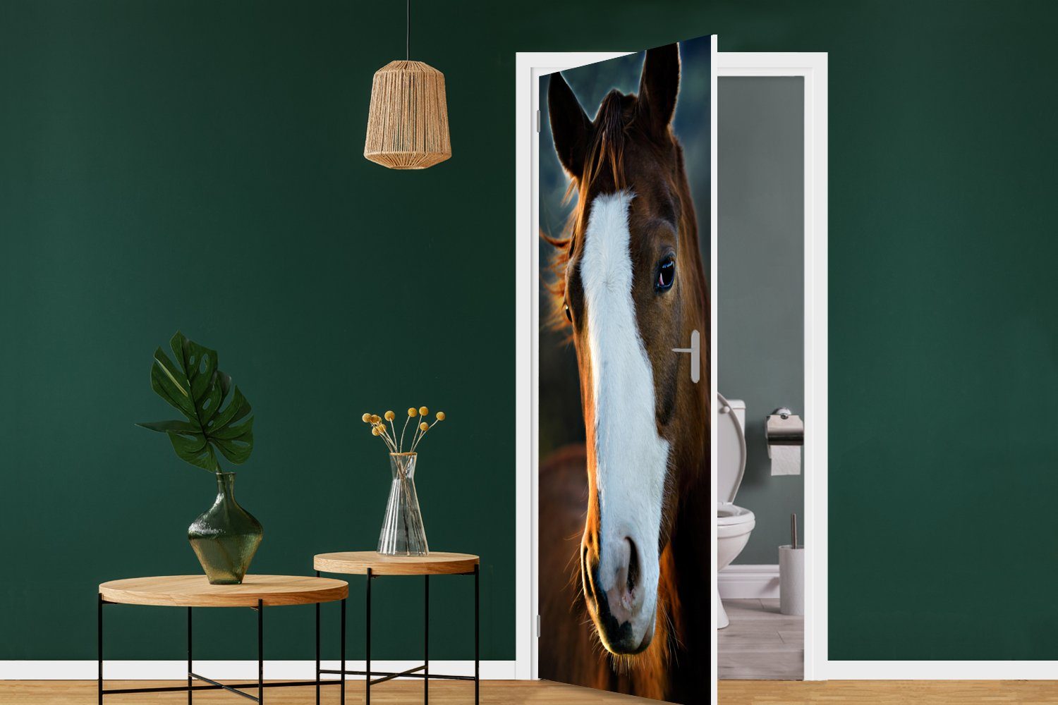 Türtapete - Pferd für MuchoWow cm Tür, (1 Kopf - Türaufkleber, Licht, Matt, 75x205 St), Fototapete bedruckt,