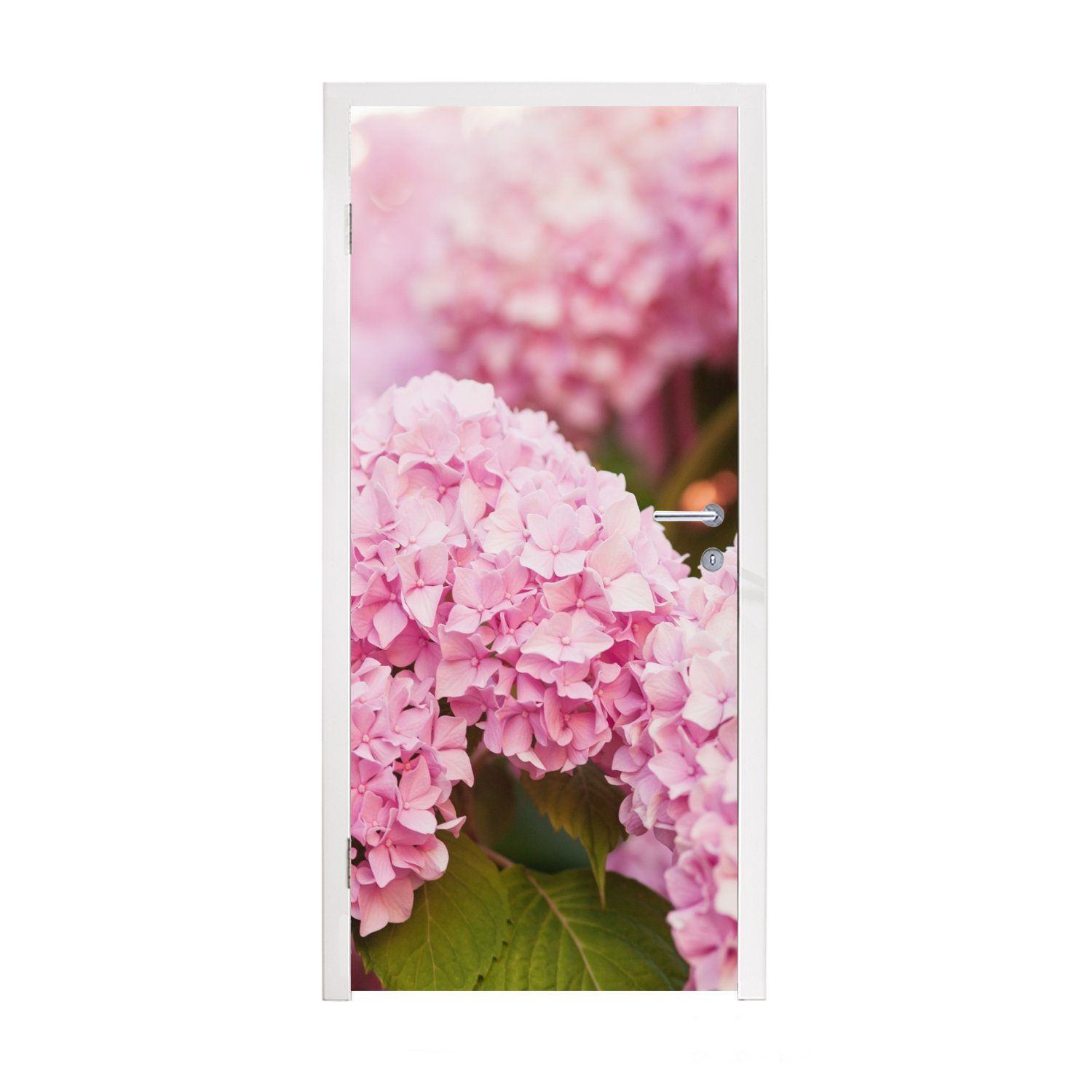 MuchoWow Türtapete Busch - Blumen - Rosa - Hortensie, Matt, bedruckt, (1 St), Fototapete für Tür, Türaufkleber, 75x205 cm