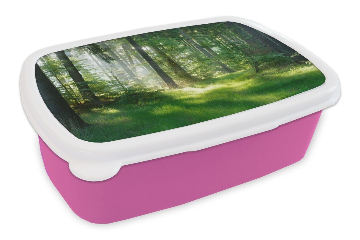 MuchoWow Lunchbox Natur - Bäume - Wald - Grün - Sonne - Gras - Pflanzen, Kunststoff, (2-tlg), Brotbox für Erwachsene, Brotdose Kinder, Snackbox, Mädchen, Kunststoff rosa