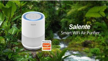 Blueair Luftreiniger MaxClean Intelligenter für Allergiker, WiFi Tuya SmartLife 3 Leistungsstufen gegen Schimmel Staub PollenRauch