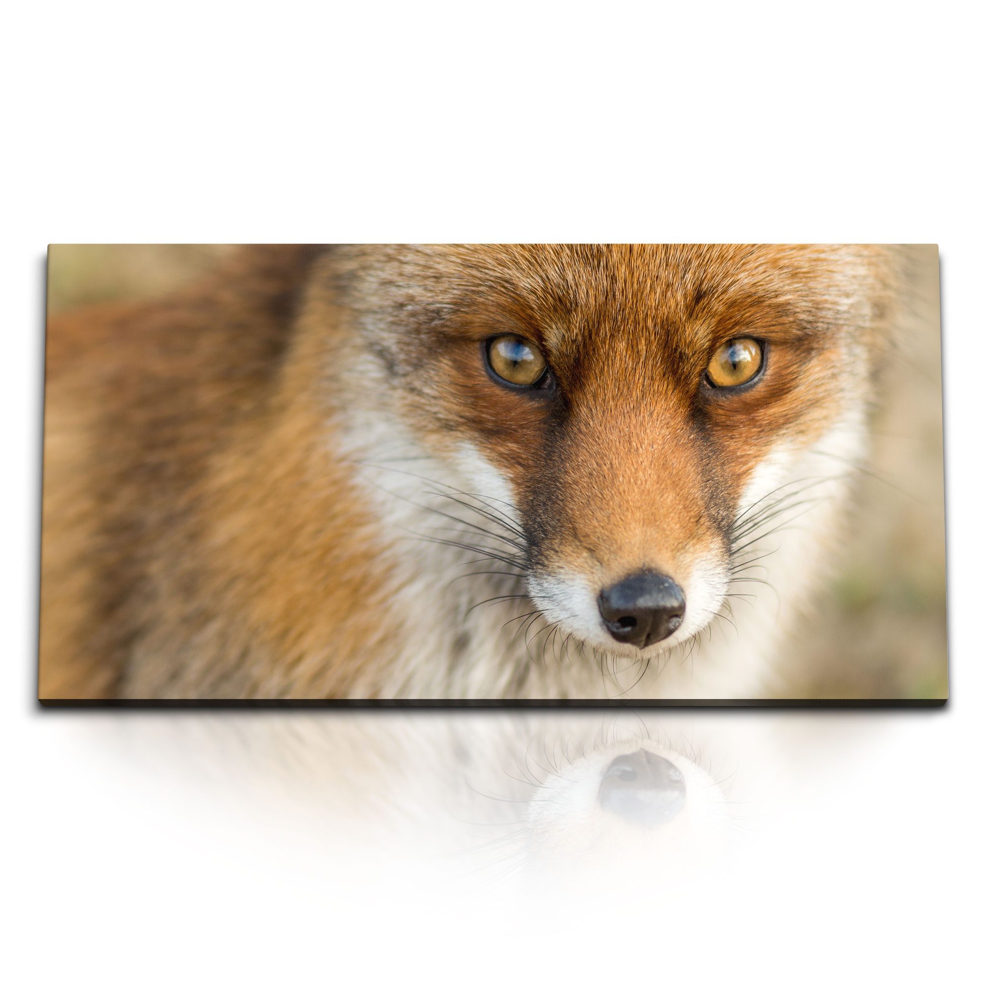 Leinwandbild Kunstdruck Bilder 120x60cm Fuchs Fuchsaugen Tierfotografie Rot