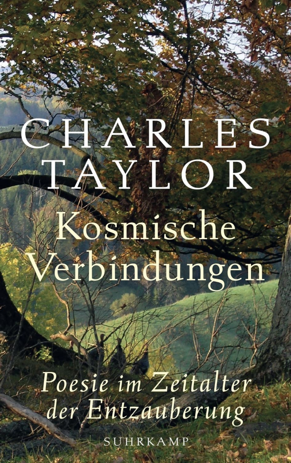 Kosmische Verbindungen / Charles Taylor