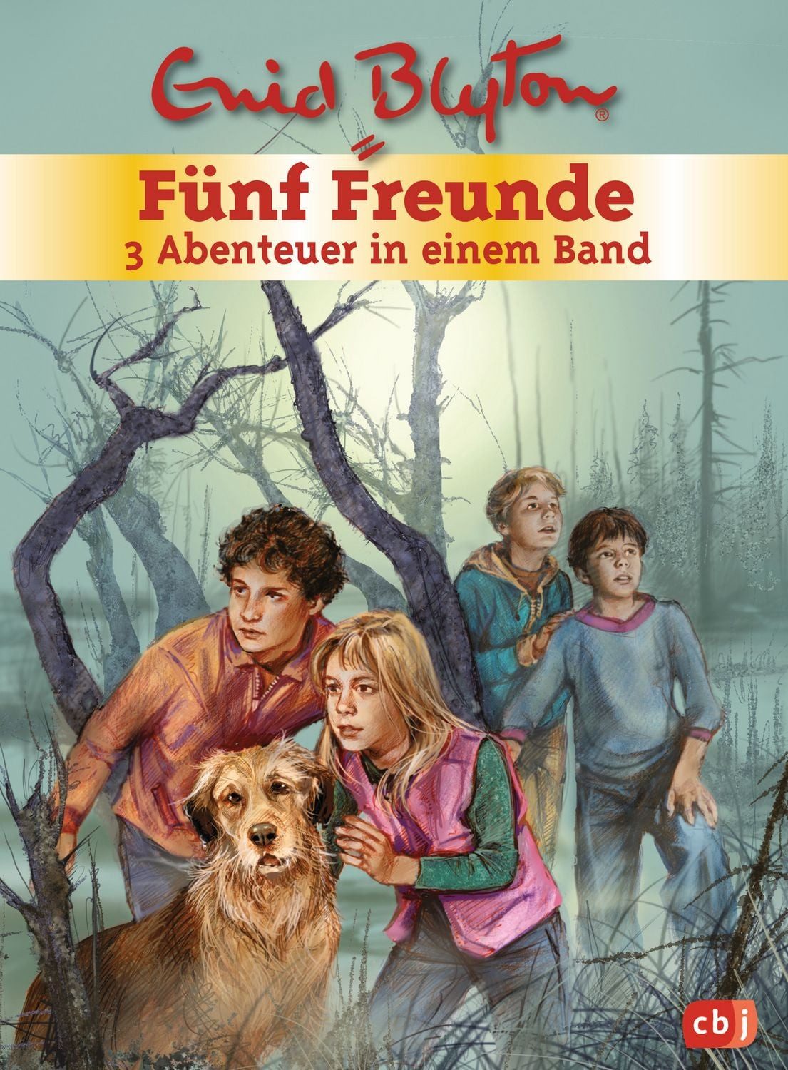 Fünf Freunde - 3 Abenteuer in einem Band / Enid Blyton