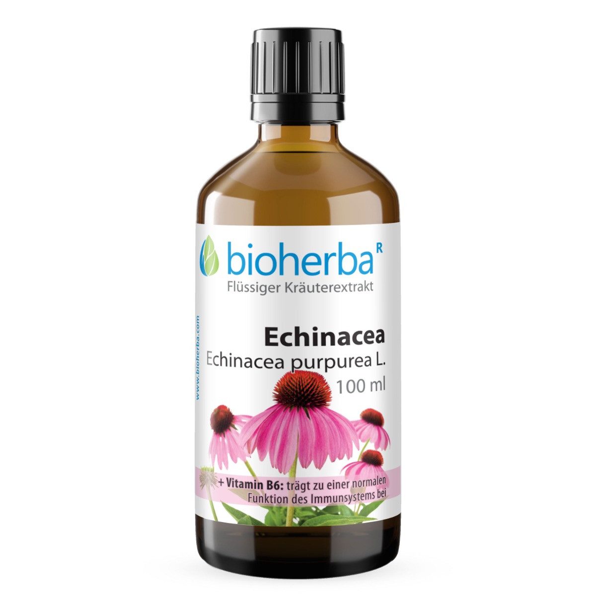 BIOHERBA R Bioherba Echinacea Echinacea purpurea L. Tropfen Tinktur 100 ml Nahrungsergänzungsmittel, 1 er
