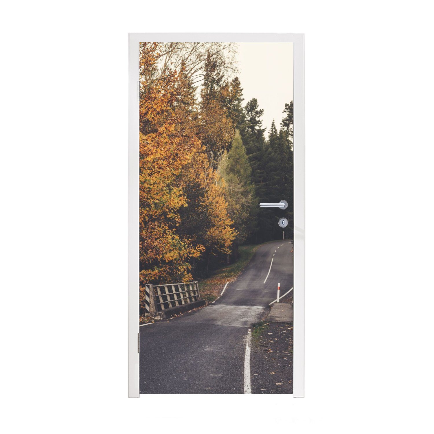 MuchoWow Türtapete Bäume - Straße - Herbst, Matt, bedruckt, (1 St), Fototapete für Tür, Türaufkleber, 75x205 cm
