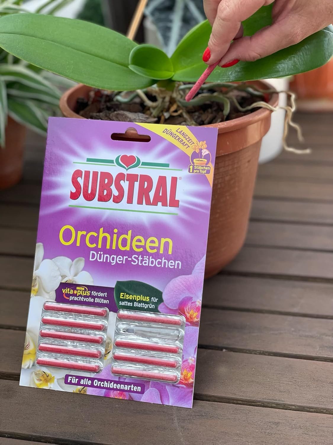Substral Pflanzenstärkungsmittel Substral Dünger-Stäbchen für Orchideen, 10 Stück