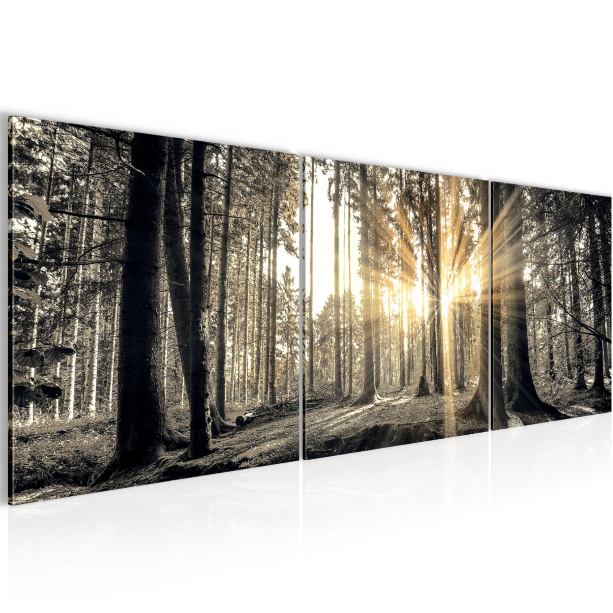 Runa Art Wandbild Wald Landschaft 120 x 40 cm auf Vlies Leinwand Grau Braun 503833a, 120L x 40B cm