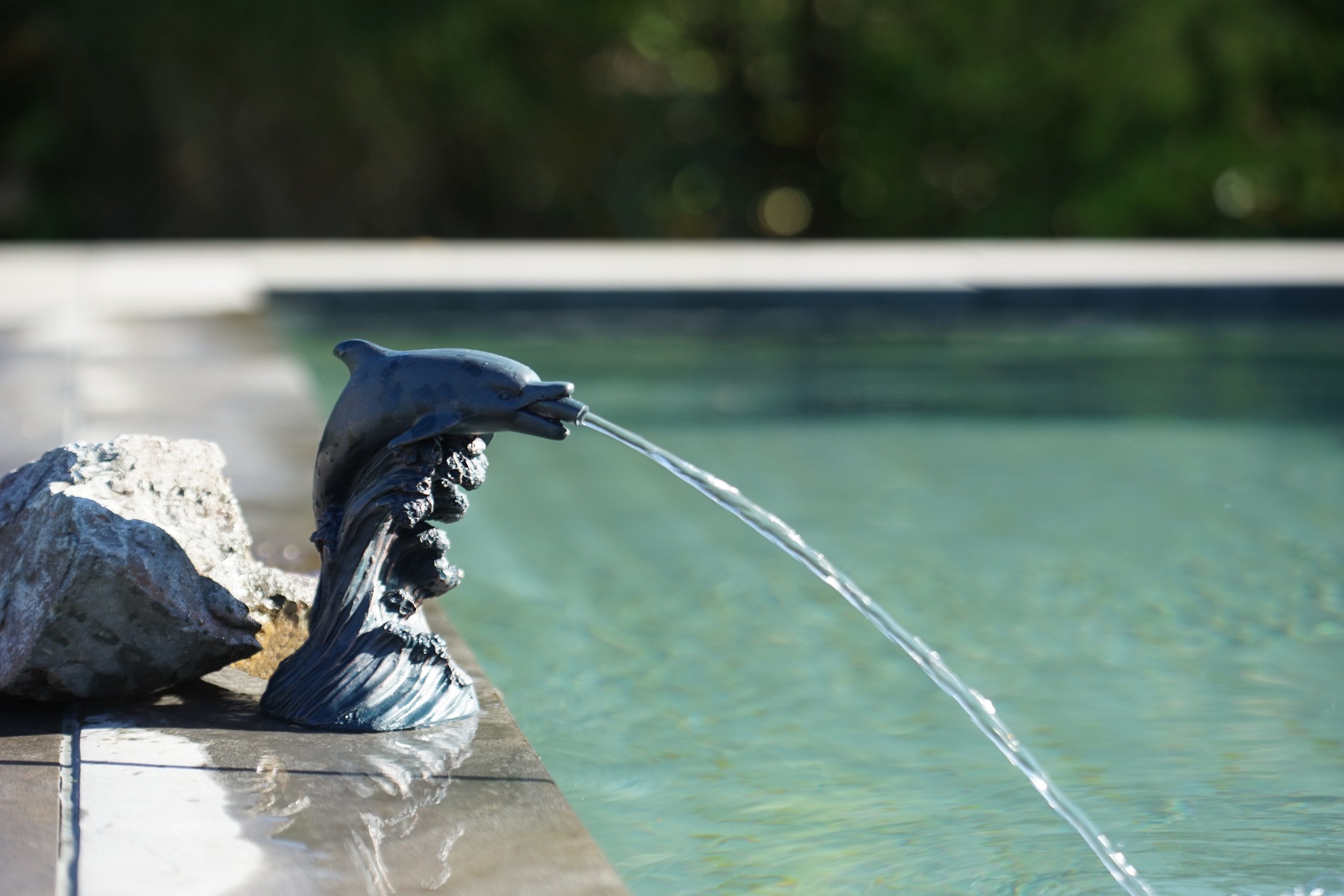 Ubbink Wasserspiel Delfin I, 10 cm Breite, (1 tlg)