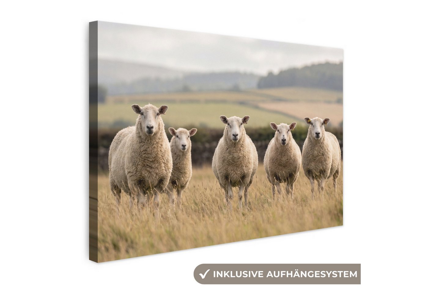 OneMillionCanvasses® Leinwandbild Schafe - Weidelandschaft - Hügel, Fotodruck (1 St), Leinwand Bilder Klein, Wand Dekoration Aesthetic 30x20 cm