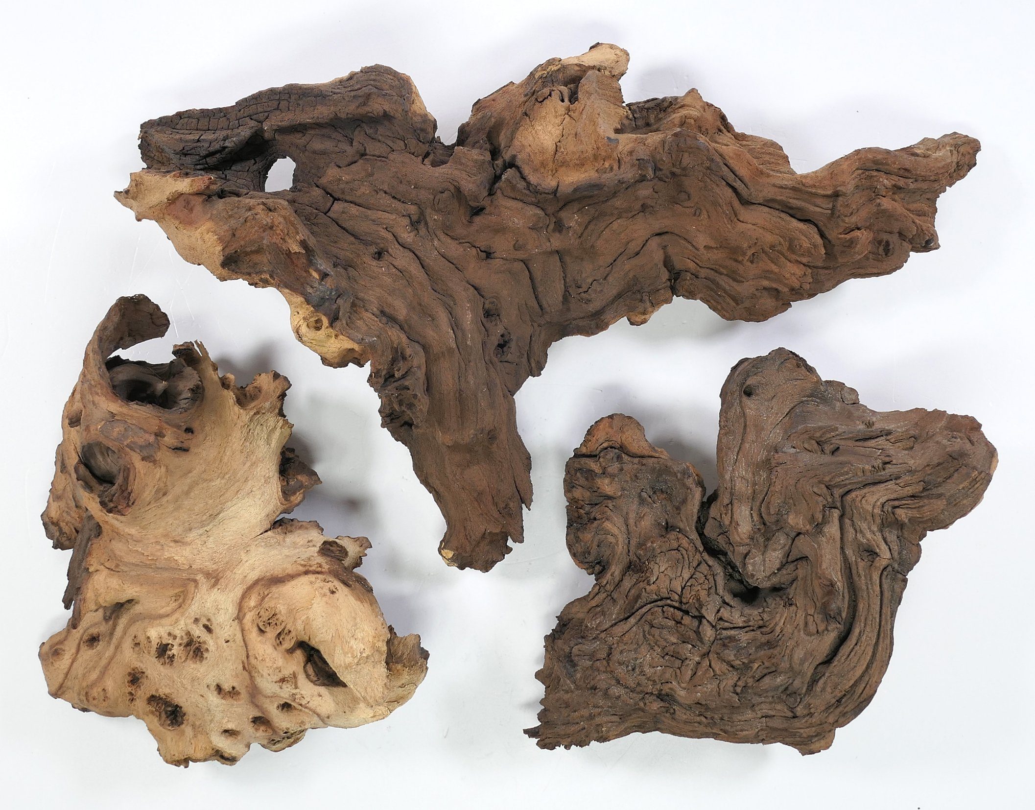 Deggelbam Aquarium Mopani Wurzel Eisenholzwurzel Aquarium versch. Größen S-XL, Echtholzwurzel zur Aquariumdekoration, Aquascaping