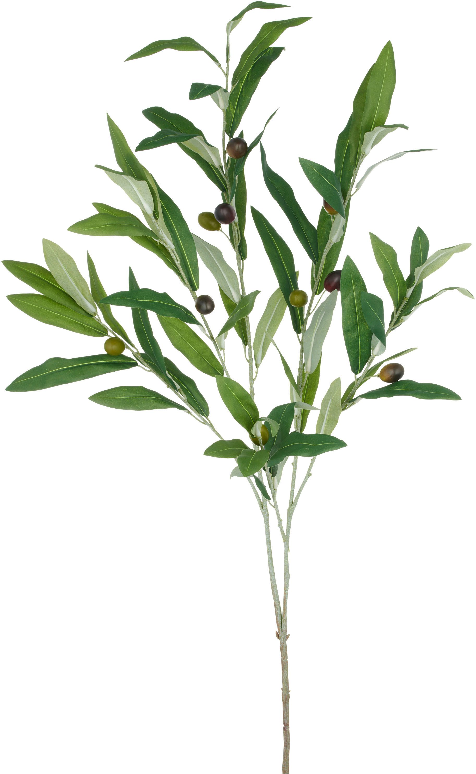 Kunstzweig Olive