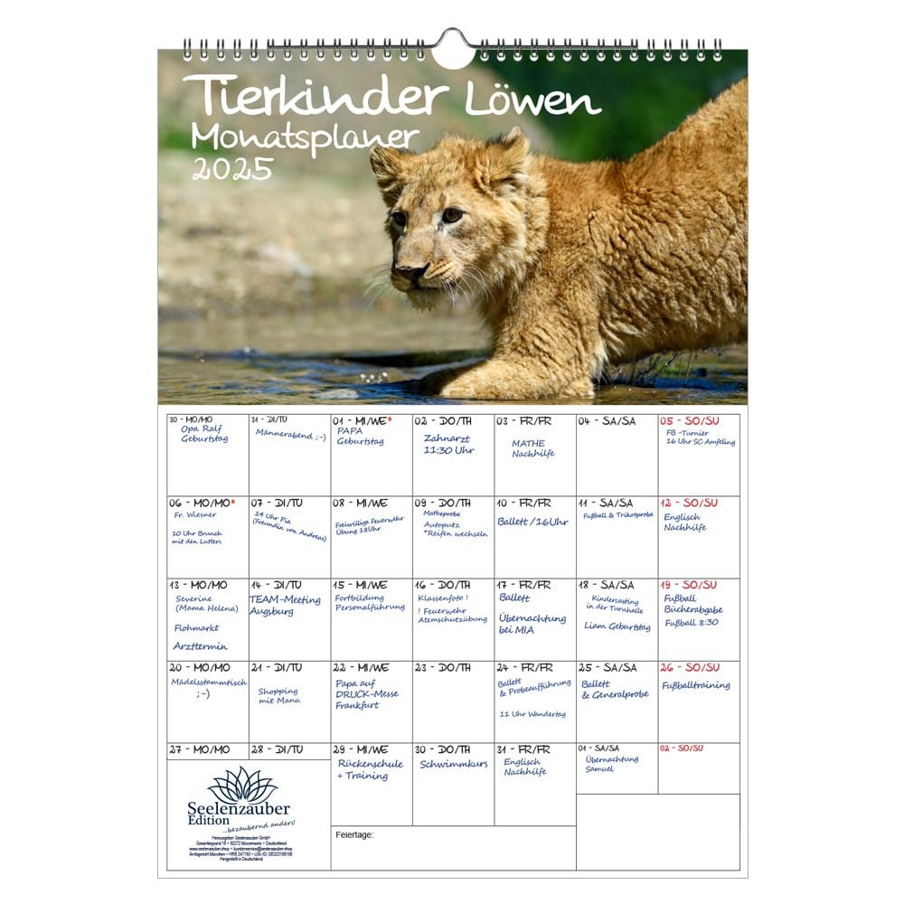 Seelenzauber Wandkalender Tierkinder Löwen Wand Planer Kalender für 2025 DIN A3