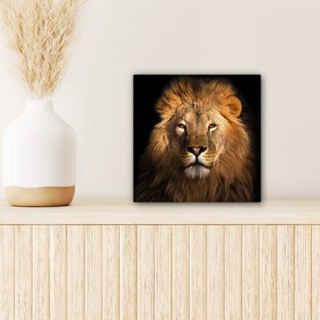 OneMillionCanvasses® Leinwandbild Löwe - Tiere - Schwarz - Hell - Braun - Porträt, (1 St), Leinwand Bilder für Wohnzimmer Schlafzimmer, 20x20 cm