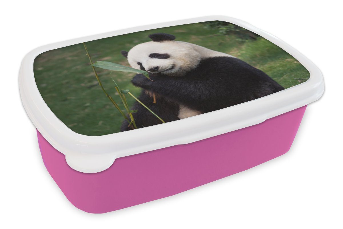 Pandabär Tiere - Kunststoff Wilde Kinder, Mädchen, - MuchoWow rosa Kunststoff, für Erwachsene, Lunchbox Blätter, Brotbox (2-tlg), Brotdose Snackbox,